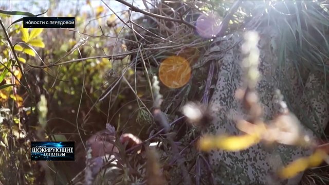 Украина. Новости с передовой — Самые шокирующие гипотезы