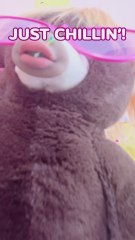 Teddy Bear Gets a Cool Makeover! 🧸✨ #diy #asmr #crafts