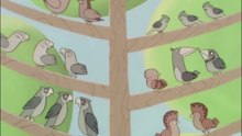 Le più belle favole del mondo - 036 - L'uccello dell'arcobaleno
