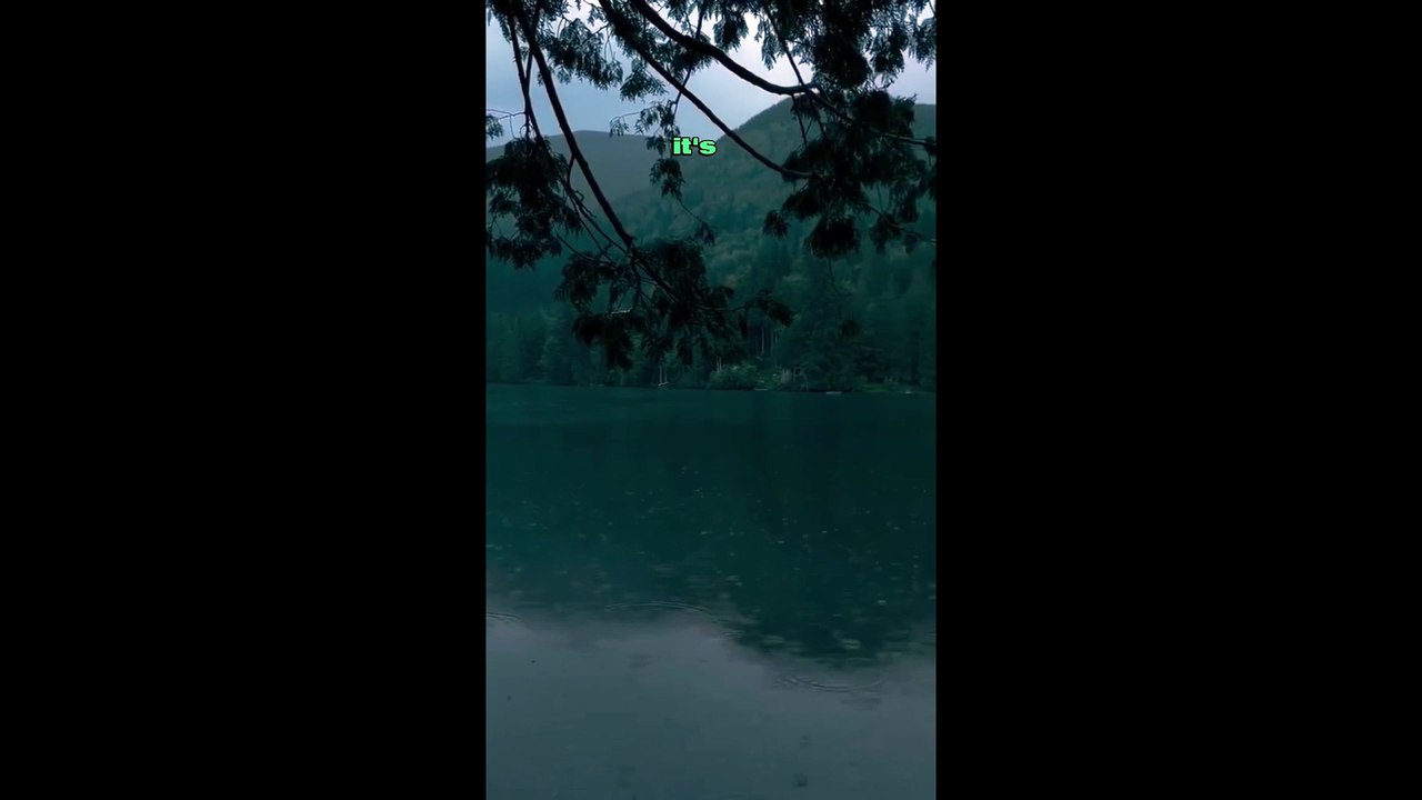 Your Pain Has Purpose