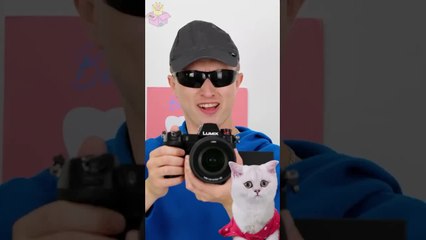 Easy Toilets and Restroom Hacks You Have To Know #funny #toilet #hacks #easy #kitty #reverse