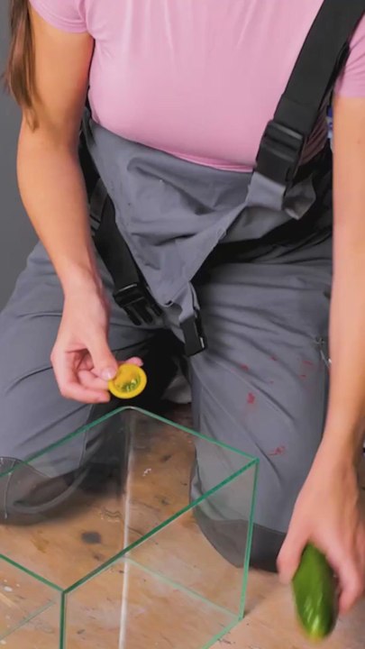 DIY Hand Mold Using a Cucumber