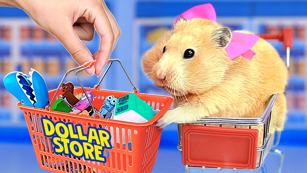 Mini Washing Machine Magic! 😍🌀 Watch Tiny Clothes Get Sparkling Clean