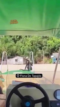 Primata humanoide surpreende turistas em praia amazônica