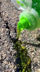 Street Repair in Action: Giving Back to the Community! 🚗