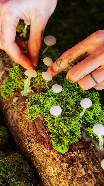 Nature's Handcraft Magic 🧚‍♂️🌿 Lamp on a Log