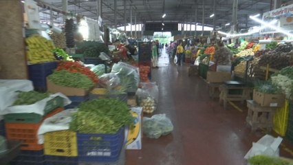 Arrendatarios de Merca Panamá deberán pagar la electricidad y productores los servicios en centros poscosecha