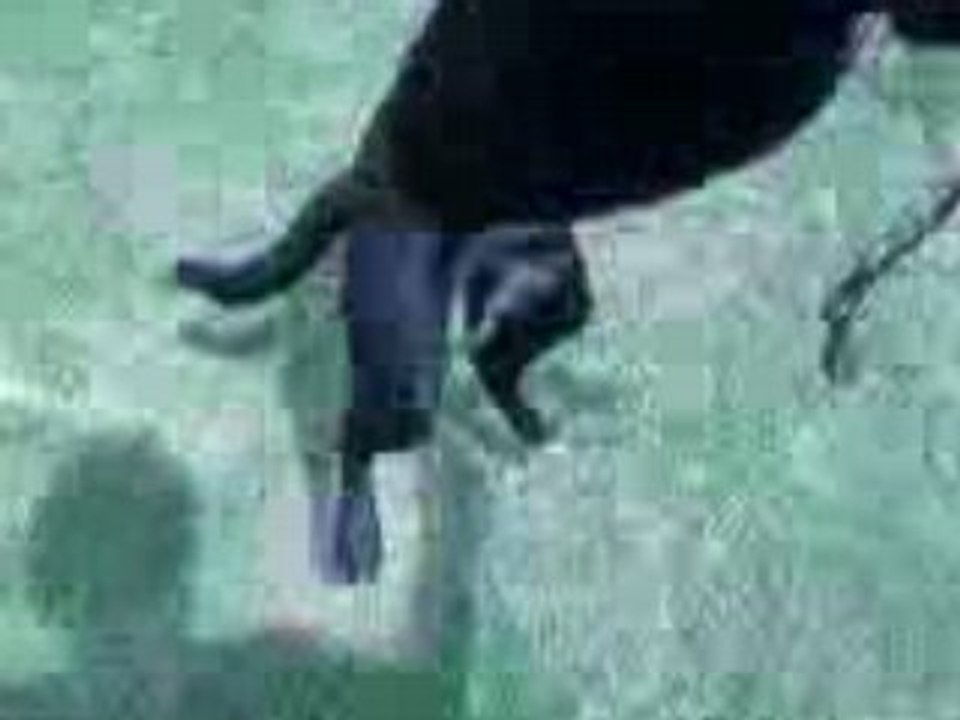 Vidéo0127