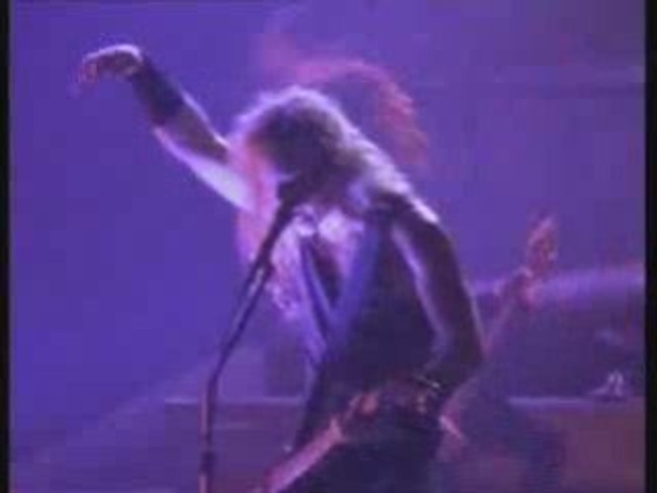 Metallica - the thing that should not be