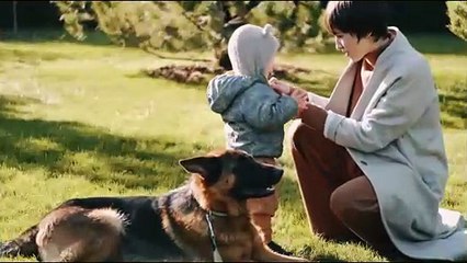 🐕 Pastor Alemán: El perro más inteligente y leal del mundo 🐾 | Todo lo que debes saber