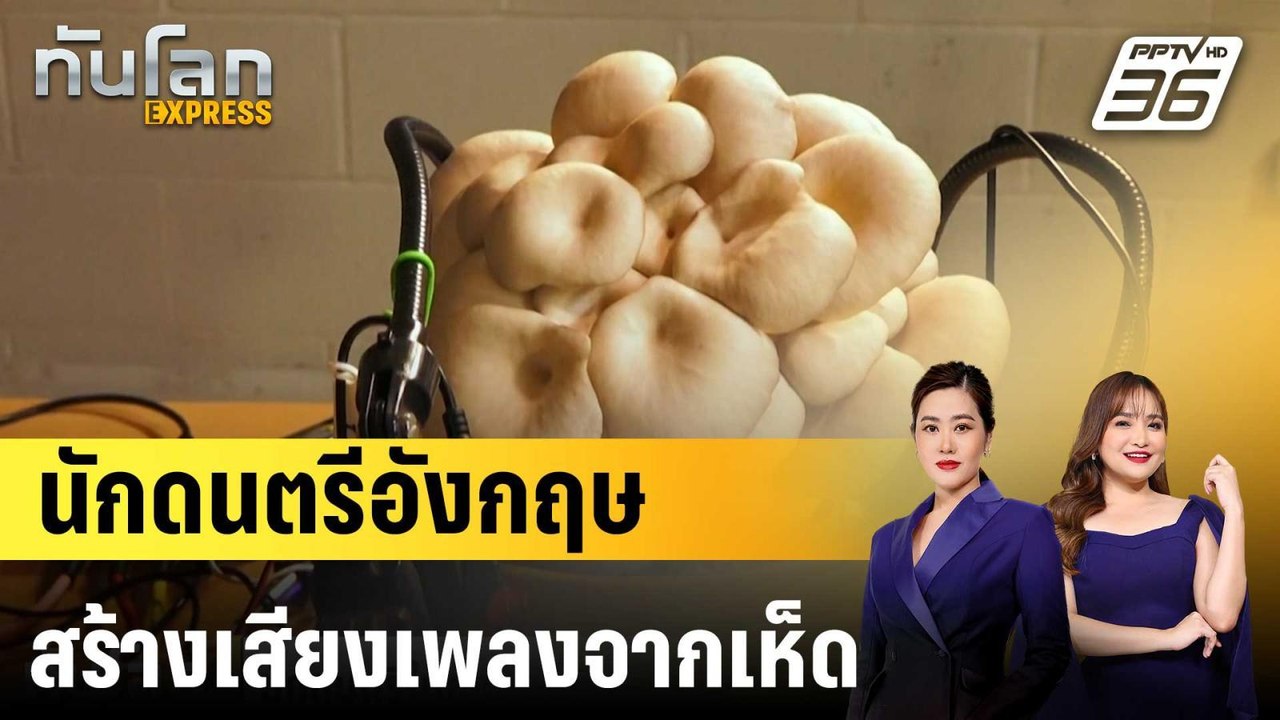 นักดนตรีในอังกฤษติดเซนเซอร์สร้างเสียงเพลงจากเห็...