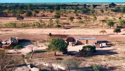 A Deadly Plane Crash in Lion Country — Out of 7, Only 1 Survives!