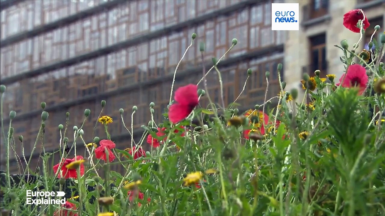 Berlin und Rom wollen mehr Bedenkzeit: EU-Sanktionsplan gegen Israel vorerst auf Eis