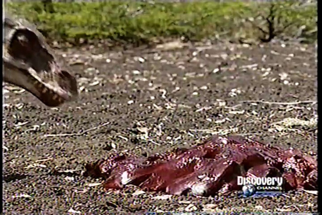 BBC - Paseando con Dinosaurios (Making Of) (copiado de VHS 1998)