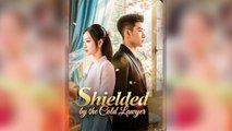 Shielded By The Cold Lawyer