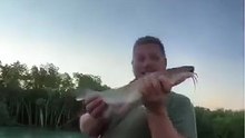 Falcon's skill in snatching a #fish in the #air