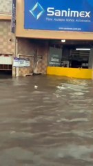 Heavy Rainfall Causes Severe Flooding in Edomex, Mexico 🇲🇽 (02.09.2025)