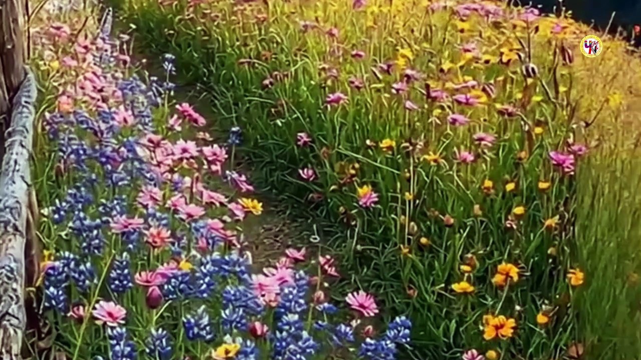 என் இருதய வீடு நீர்