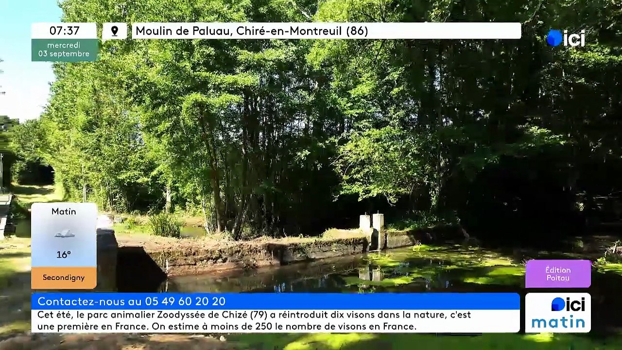 03/09/2025 - ici matin par ici Poitou en vidéo