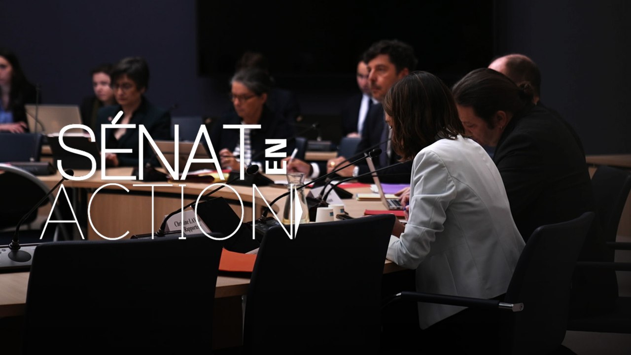 Sénat en action - Agences de l'État, qui veut gagner des milliards ?