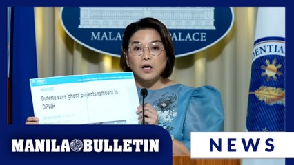 Palace tells VP Sara: It's preposterous to finish flood control probe in one day