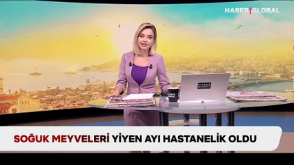 Soğuk meyveleri yiyen Okan isimli ayı hastanelik oldu