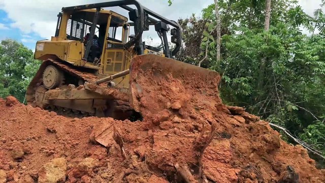 Bulldozer D6R XL The Best Heavy Equipment for Strong Plantation Roads