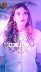 Beg for My Return After Kicking Me Out (2025)