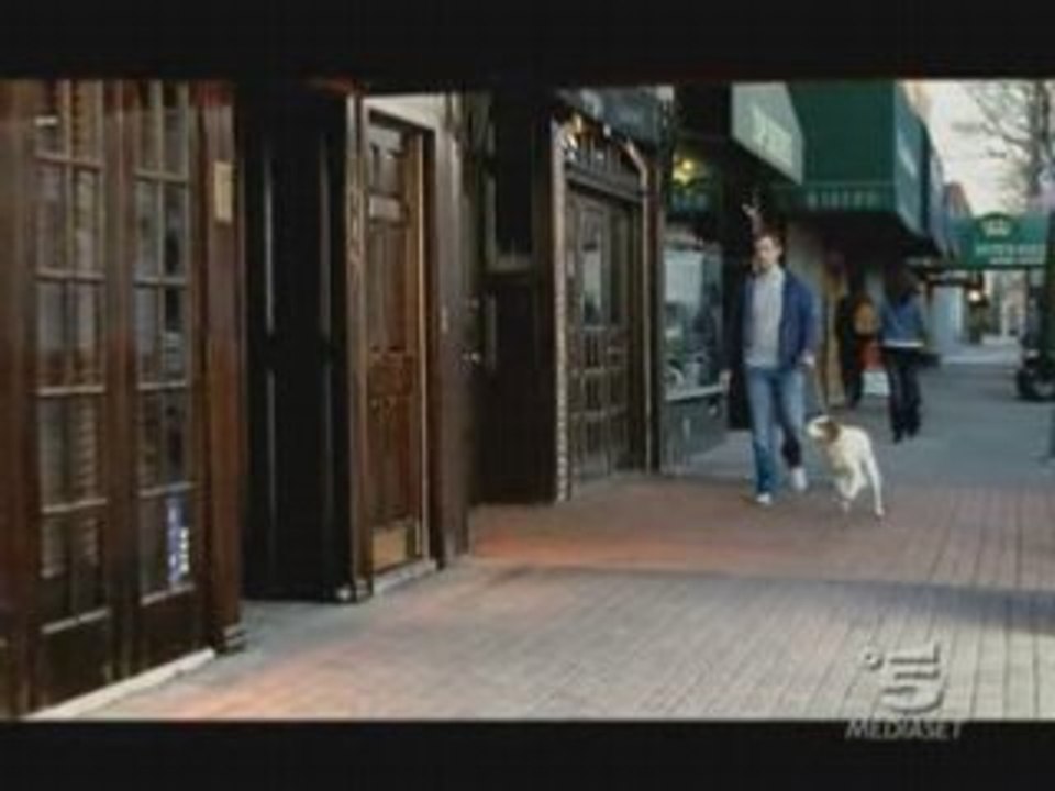 Spot - Heineken, Meet You There (Dog)