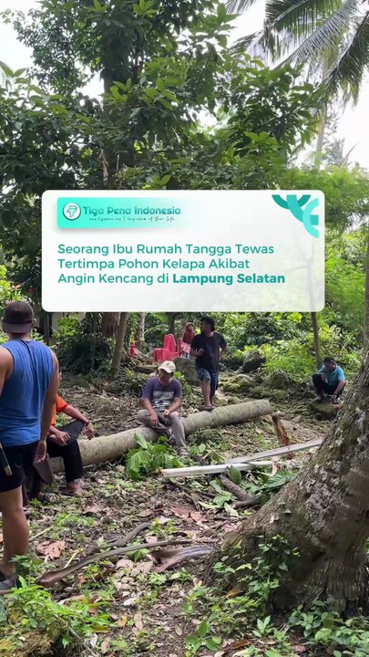 Seorang Ibu Rumah Tangga Tewas Tertimpa Pohon Kelapa Akibat Angin Kencang di Lampung Selatan