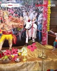 गावखेड्याचे जीवन कसे असते याचे देखाव्यातून केले सादरीकरण