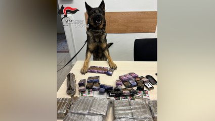 Maxi sequestro di droga a Bolzano: ?Individuata la fonte che riforniva la Pusteria?