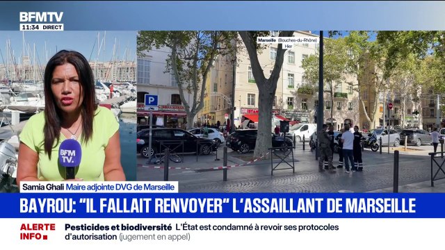 Il ne faut pas dire n'importe quoi : Samia Ghali, maire adjointe DVG de Marseille, réagit après l'attaque au couteau