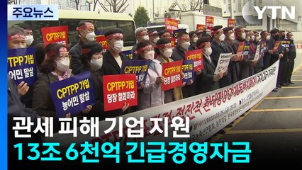 관세 피해 기업에 '긴급 수혈'...CPTPP 가입도 검토 / YTN