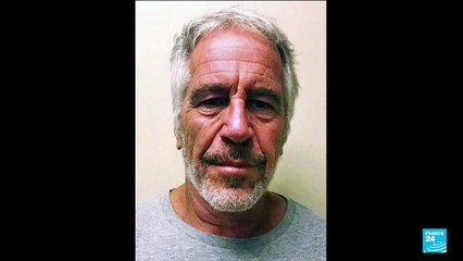 US House committee releases batch of 'Epstein files'
