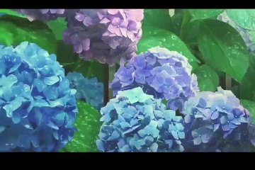 [Ep 6] Skip and Loafer Episode 6 Sub Indo (स्किप और लोफ़र) Multiple Subtitle スキップとローファー