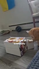 Glad my cat isn't the only one who does this