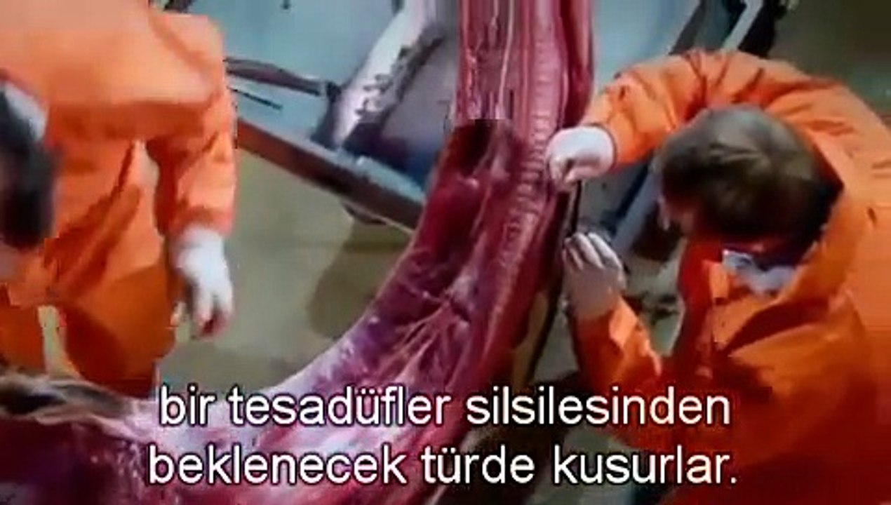 Richard Dawkins Zürafa Otopsisinde Evrimsel Hatayı Gösteriyor