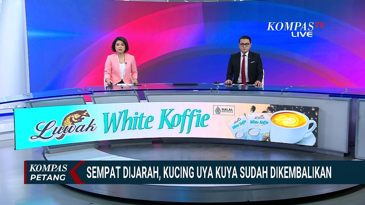 Ikut Dijarah, Kucing Uya Kuya Sudah Dikembalikan! Begini Kondisinya di Pusat Kesehatan Hewan