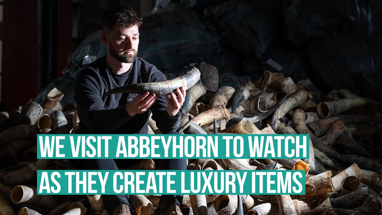 We visited Abbeyhorn to see how they create luxury items from cow horn