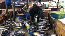 Région-Abidjan/ Des microplastique un danger pour les poissons et la santé humaine