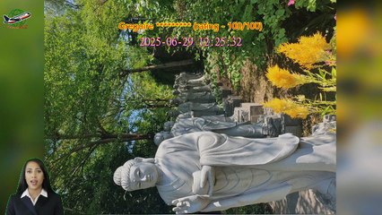 Review Kota Kinabalu City Half Day Tour