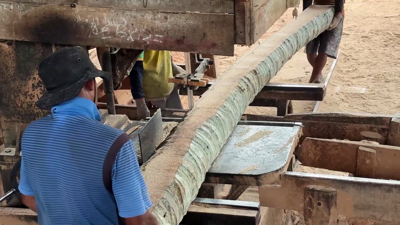 2x20 Wood Results from Coconut Trees with Sawmill Machine