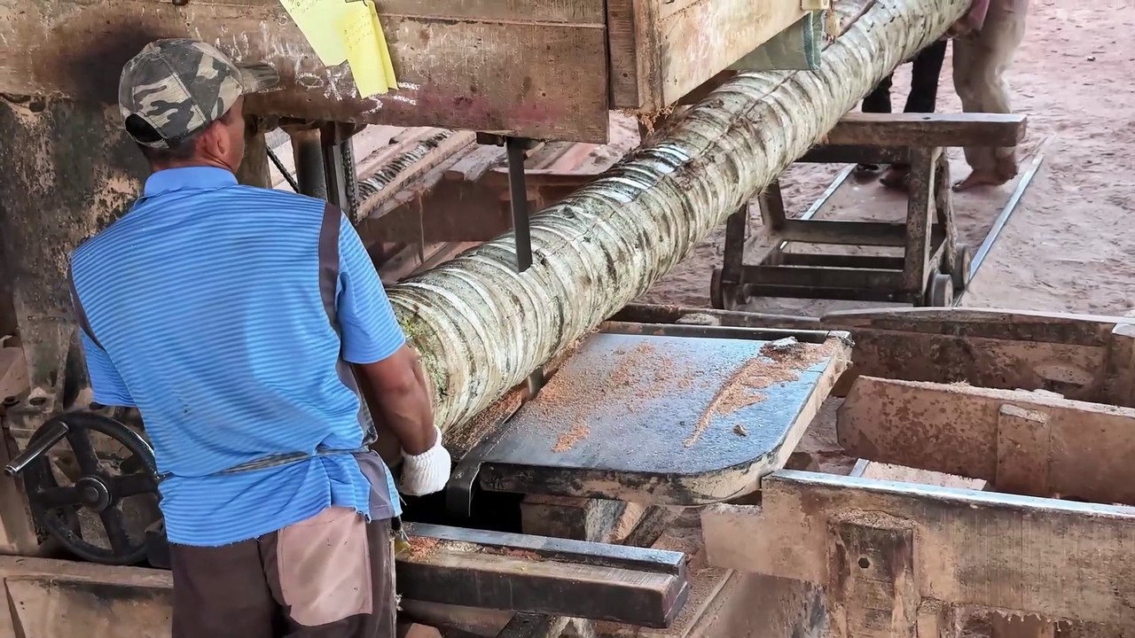 Coconut Tree Logs Sawn with a 5x10 Wood Sawmill
