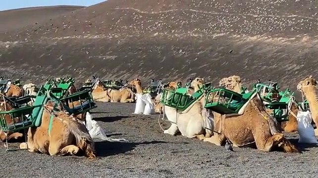 Alla scoperta di Lanzarote: mare, natura e paesaggio lunare