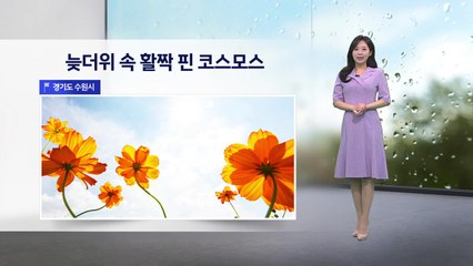 [이슈날씨] 내일 곳곳 가을비..서울 28도, 대전 30도 / YTN