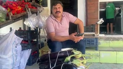 Meşhur Kebaplık Suruç Patlıcanı Tezgâhlarda Yerini Aldı