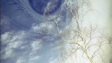 Ojos en el Cielo: una * mirada única al arte contemporáneo
