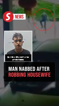 Armed man robs home while housewife was hanging laundry