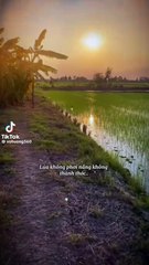 Câu nói hay và ý nghĩa p2